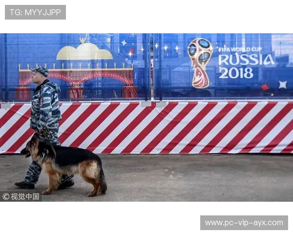 世界杯城市安保科技应用案例分析 世界杯城市安保科技应用案例分析