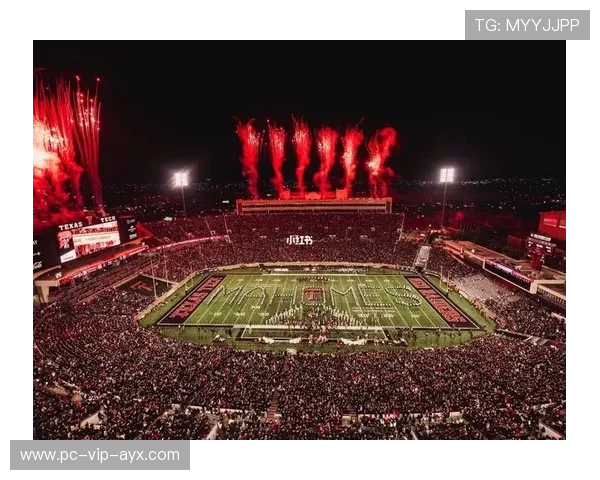 NFL回顾超级碗接球名场面多年仍被热议